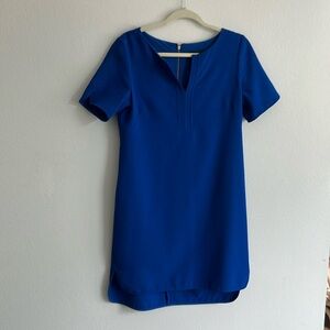 Adrianna Papell blue short sleeve shift dress with exposed gold zipper, size 8
